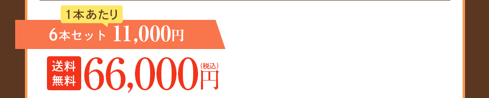 6本セット 11,000円
