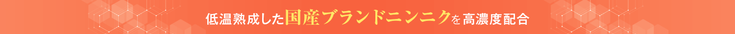 低温熟成した国産ブランドニンニクを高濃度配合