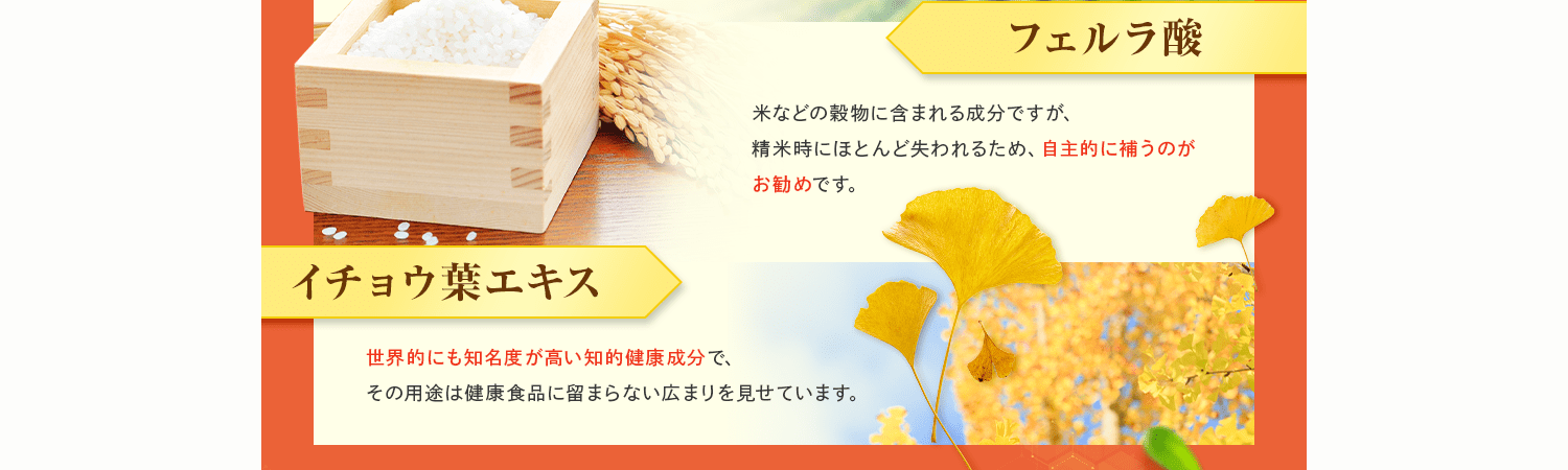 自主的に補うのがお勧めです。