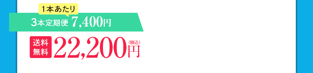 3本定期便 7,400円OFF
