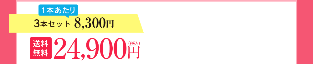 3本セット 8,300円