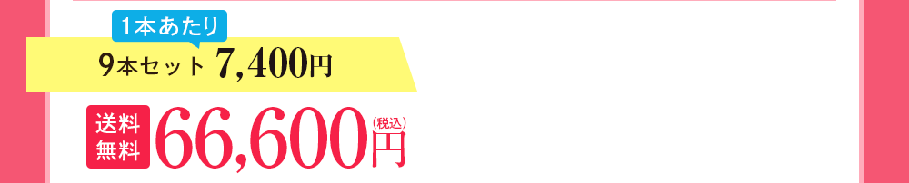 9本セット 7,400円