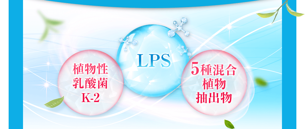 植物性乳酸菌K-2、LPS、5種混合植物抽出物